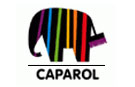 Zu Caparol bitte klicken !